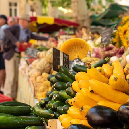 Selectsohome - Escapade Mediterranee - Eden-e24 *